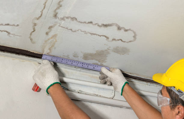 Reliable Water Damage contractor in Calera, OK by Water Damage Irwin